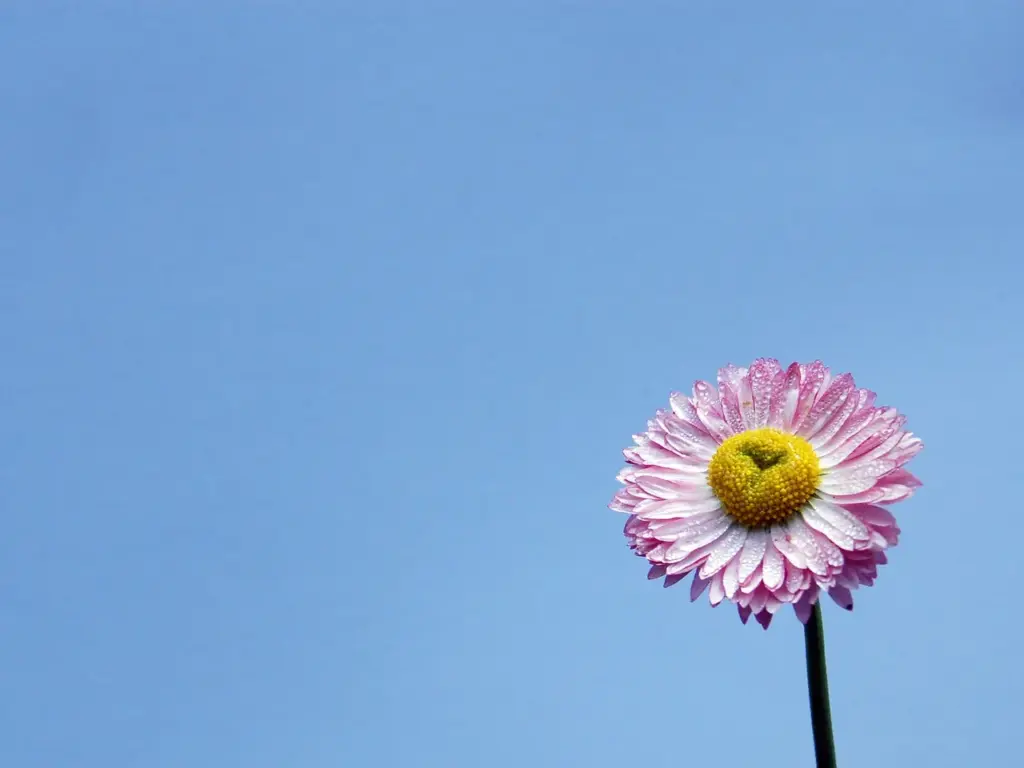 christian-bereavement-counselling